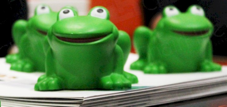 Kermit To Quirkiness?